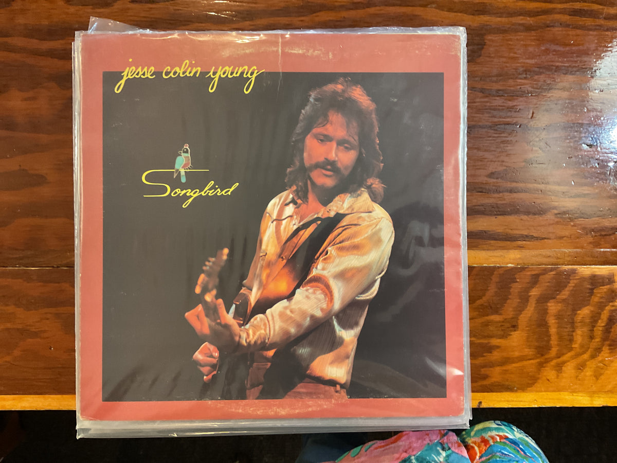 Jesse Colin Young - Songbird