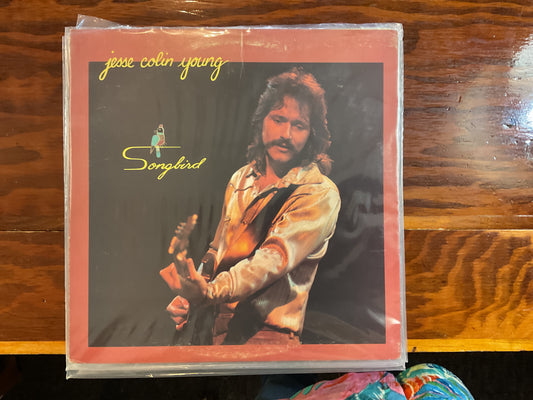 Jesse Colin Young - Songbird